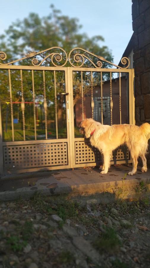 Casa Rural Tejedor Morillo de Monclus Εξωτερικό φωτογραφία