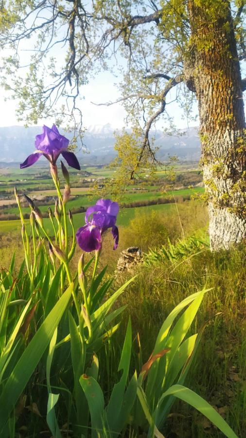Casa Rural Tejedor Morillo de Monclus Εξωτερικό φωτογραφία